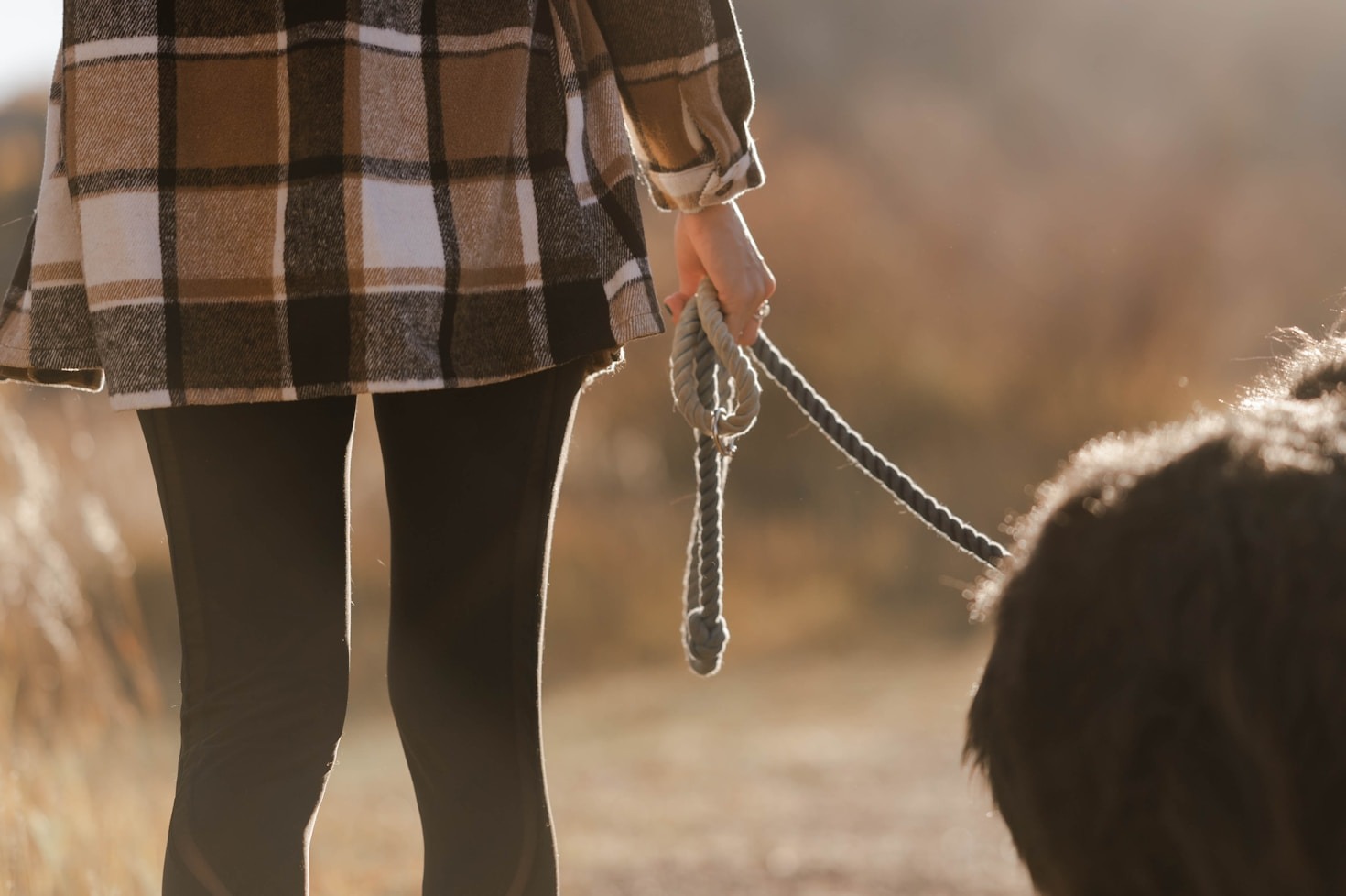 Mein Weg zur professionellen Hundetrainerin